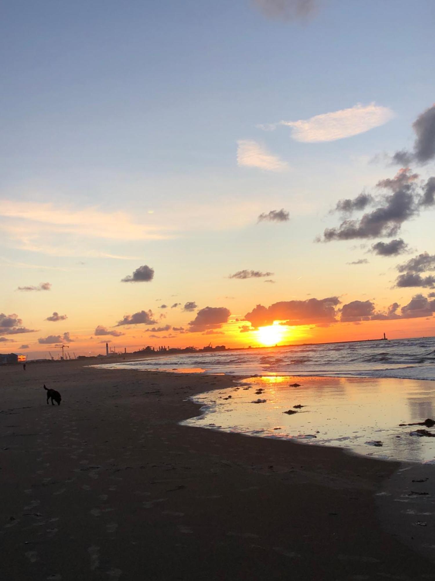Appartement Sur La Plage De Malo Les Bains Vue Mer Dunkirk ภายนอก รูปภาพ